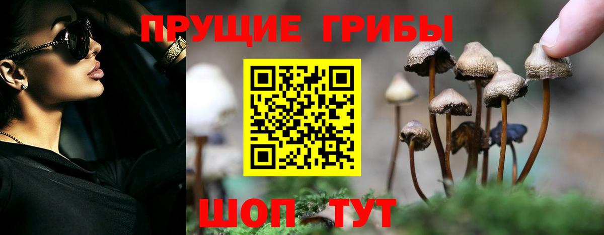 Галлюциногенные грибы мухоморы Удомля